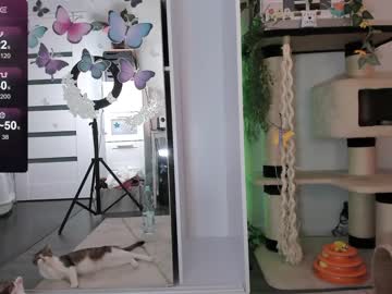 girl
        mermaidrozalia cam image #4107359