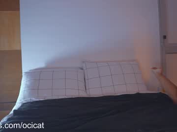 girl
        ocicat cam image #5097247