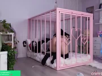 girl
        crimsonkitten cam image #6184744