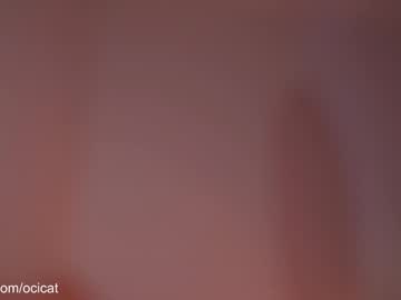 girl
        ocicat cam image #6729729