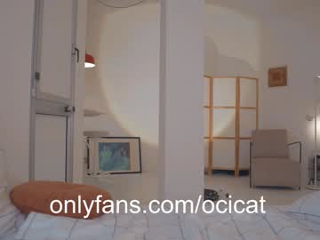 girl
        ocicat cam image #5025408