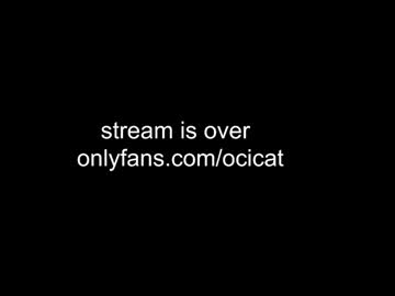 girl
        ocicat cam image #6937876
