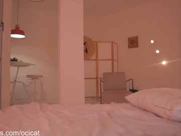 girl
        ocicat cam image #5812682
