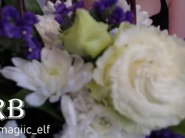 girl
        magic_elf cam image #1408101