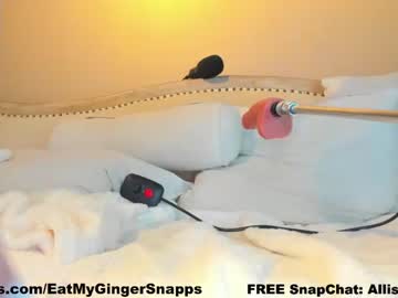girl
        eatmygingersnapps cam image #3875229