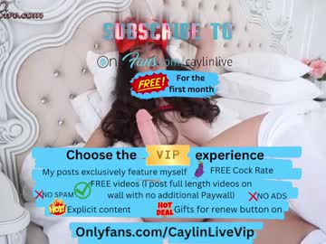 girl
        caylin cam image #5497258