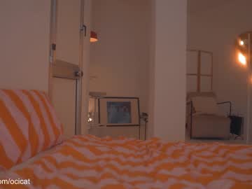 girl
        ocicat cam image #6378772