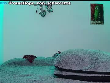 couple
        vanellope_von_schweetz cam image #1773497