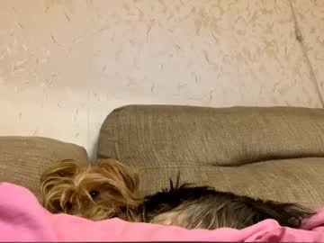 girl
        edlinhazleton cam image #6648281