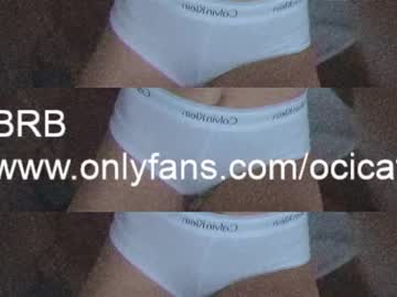 girl
        ocicat cam image #364681