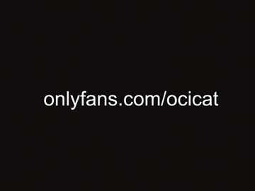 girl
        ocicat cam image #5298007
