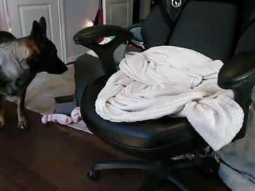 girl
        southerbunny cam image #2208961