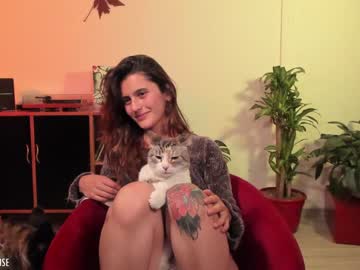 girl
        marmuse cam image #2592847