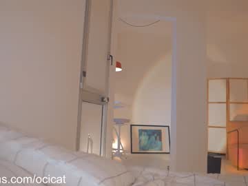 girl
        ocicat cam image #5168713