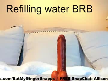 girl
        eatmygingersnapps cam image #1598572