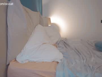girl
        ocicat cam image #3554836