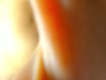 girl
        lean_lie cam image #1028635