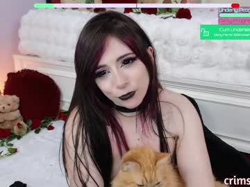 girl
        crimsonkitten cam image #6050418