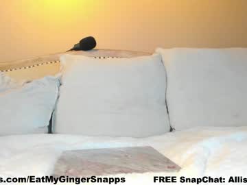 girl
        eatmygingersnapps cam image #3896208