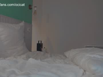 girl
        ocicat cam image #4487834