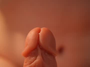 girl
        milablum cam image #5810199
