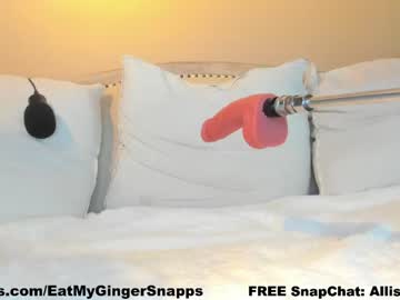 girl
        eatmygingersnapps cam image #3853830