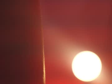girl
        sunny_maria cam image #2858303