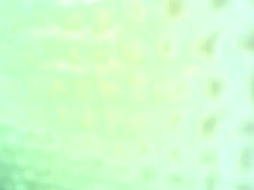 couple
        changetheflight cam image #3370667