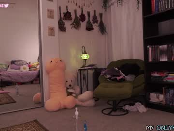 girl
        evelynpiers cam image #1313727