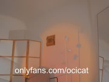 girl
        ocicat cam image #5038848