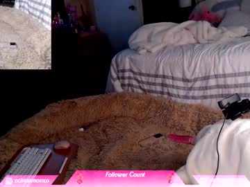 girl
        ccinnamon cam image #2656319