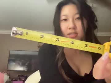 girl
        hiddenr0se cam image #4653300