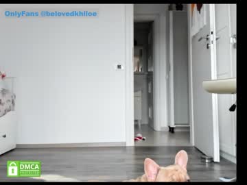 girl
        belovedkhlloe cam image #834473