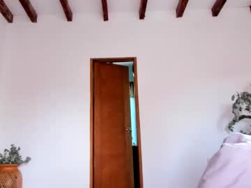 girl
        artgea cam image #4751927